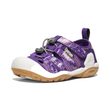 KNOTCH CREEK CHILDREN, tillandsia purple/englsh lvndr