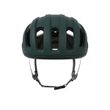 Amidal Pargasite Green Matt