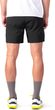 ASH anthracite