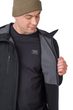 BRISTON anthracite