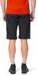 BINDERS SHORTS anthracite