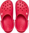 Crocband Digital Raspberry
