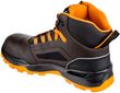 FARMIS 2.0 S3S NM High