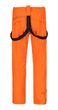 SLATER FD, puffins bill