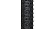 RANGER 2.25 29'' TCS Light Fast Rolling SG2 černá