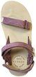Nevada Women's Lavender Fields