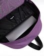 Old Skool Drop V Backpack 22 GRAPE JAM