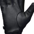 ALPINE SOFTSHELL GLOVES Black