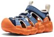 HYPERPORT H2 CHILDREN, tanehoozuki