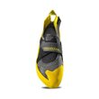 TaRENTula II JR NM Carbon/Yellow