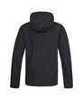 BRISTON anthracite