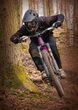 VENOM downhill, oranžovo-černá