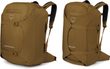 PORTER 46, brindle brown