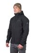 BRISTON anthracite