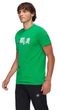 Mountain T-Shirt Men 3308m pinea