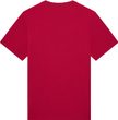 Absolute Dri-Release Ss Tee Cranberry