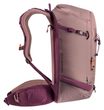 Freerider Pro 30+10 SL ashrose-cassis