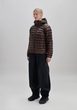 W's Coalesce Jacket Bronzite Brown