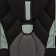 Ninjago Spinjitzu Master, Hansen 24 L