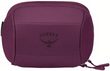 OZONE TOILETRY KIT, moody burgundy