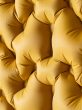 Trace R1,5 Mustard