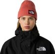 TNF LOGO BOX CUFFED BEANIE, Mars Dust/Sumac