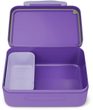 Plastic Lunchbox 1 - Fairy