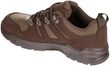 CONDOR O2 NM Brown Low