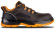 FARMIS 2.0 S3S NM Low