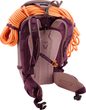 Freerider Pro 30+10 SL ashrose-cassis
