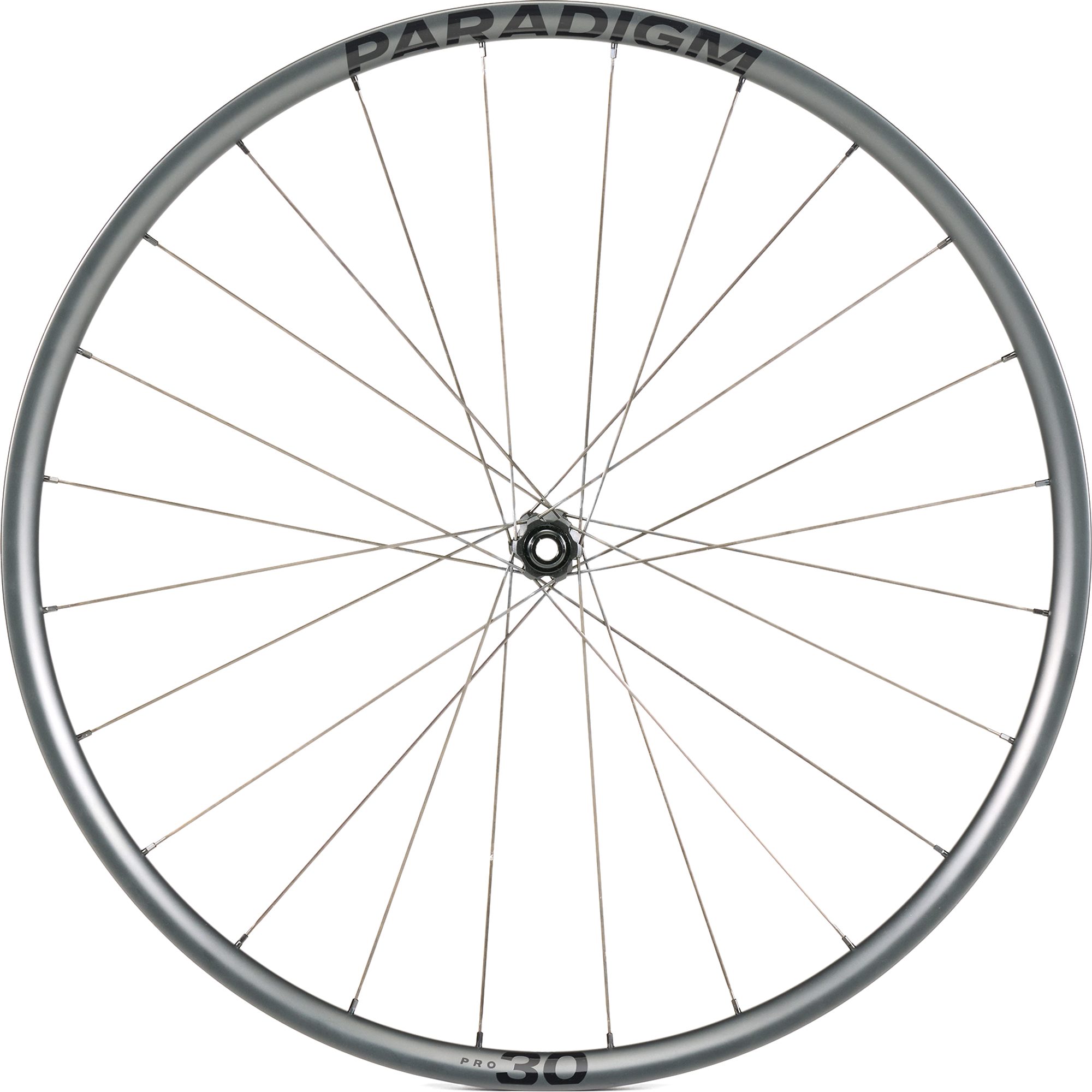 Paradigm Pro 30 Disc 12T, černá