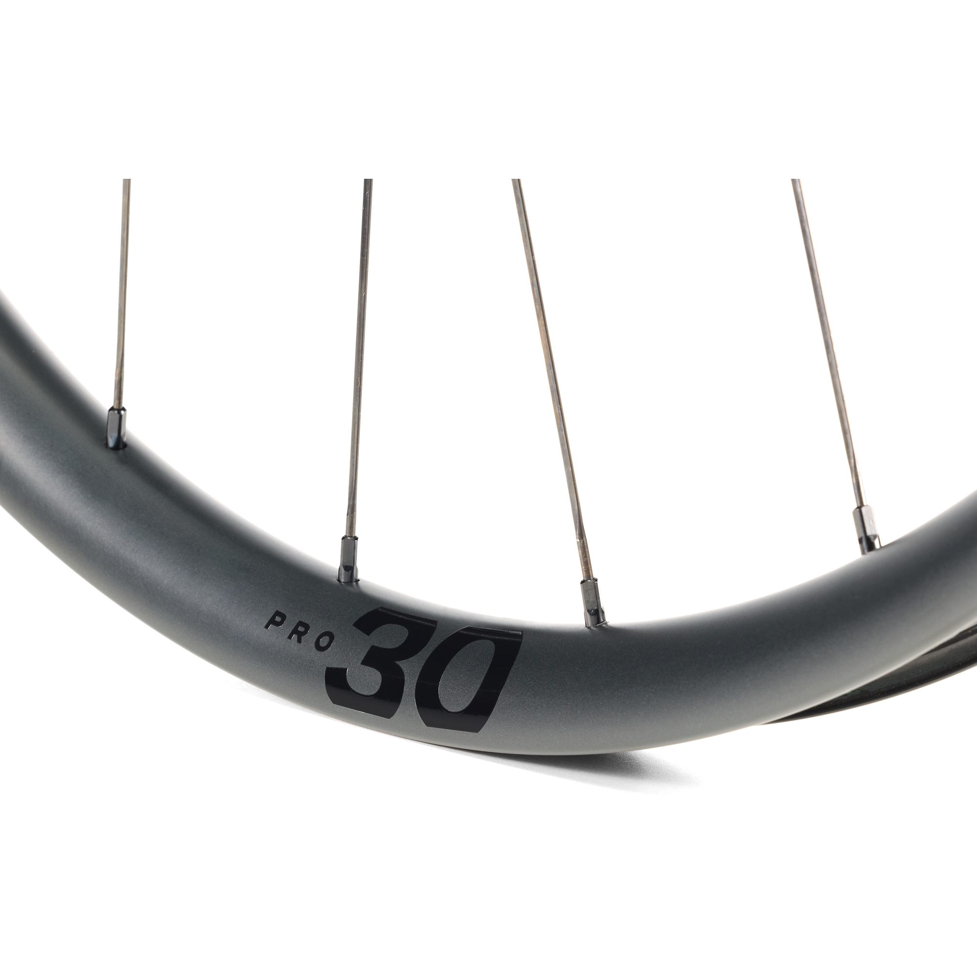 Paradigm Pro 30 Disc 12T, černá