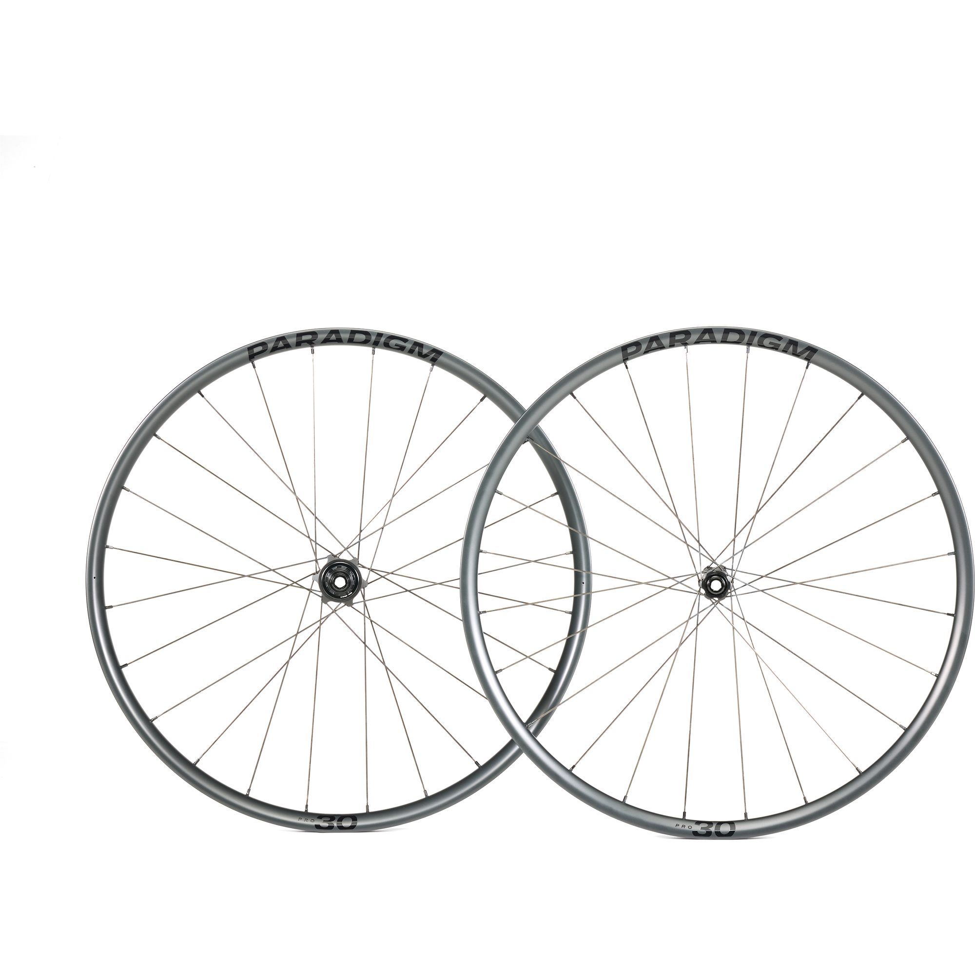 Paradigm Pro 30 Disc 12T, černá