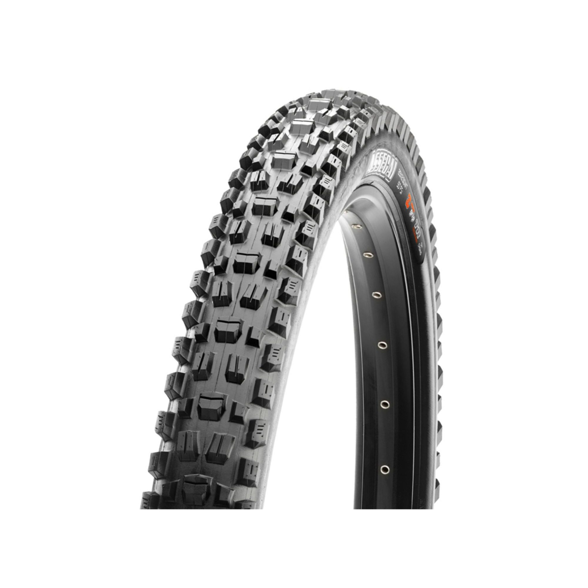 ASSEGAI kevlar 29x2.6 3CT EXO+ T.R.
