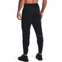 UA AF Storm Pants, Black