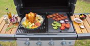 Culinary Modular Poultry Roaster