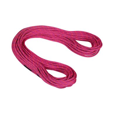 MAMMUT 9.5 Crag Dry Rope pink-zen