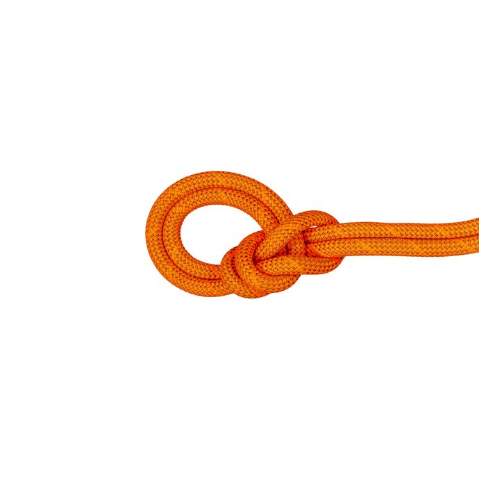 MAMMUT 9.8 Crag Dry Rope Safety orange-boa