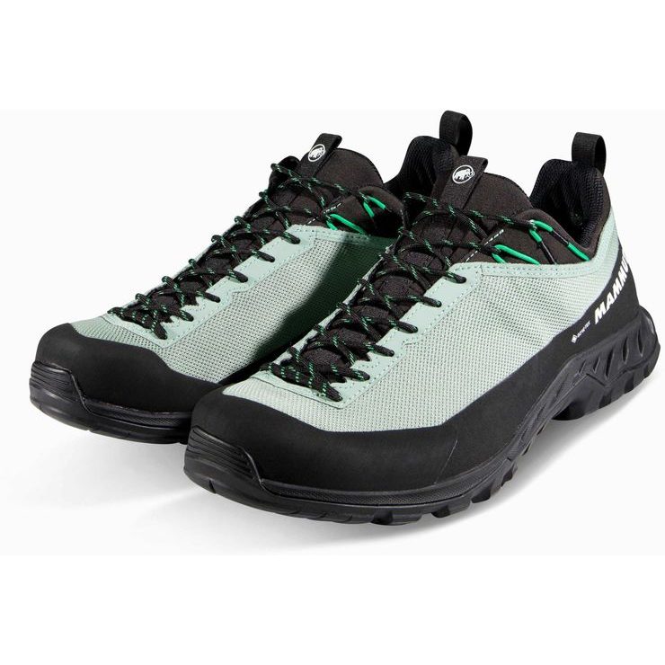 MAMMUT Alnasca IV LowTX Men deep silver sage-pinea