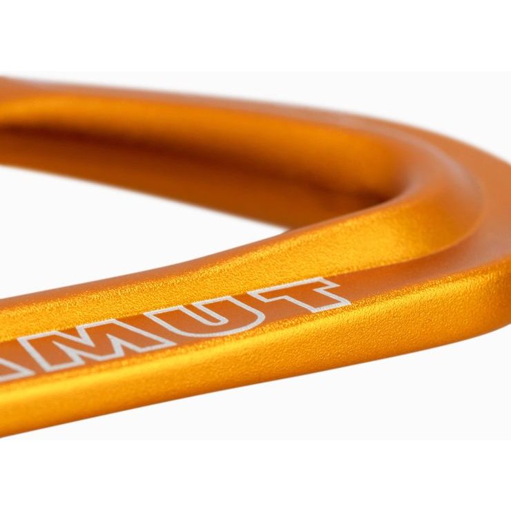 MAMMUT Sender Wire 17 cm Quickdraw Wireate/Wireate, lightrey-gold