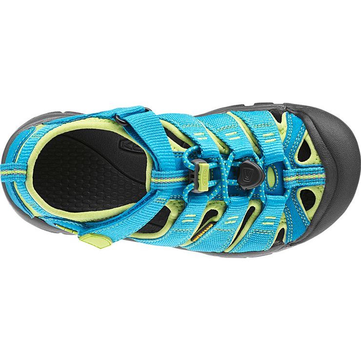 KEEN Newport H2 K hawaiian blue/green glow