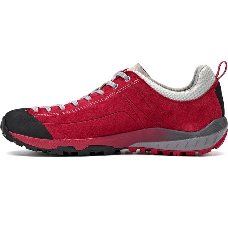 ASOLO Space GV ML, gerbera
