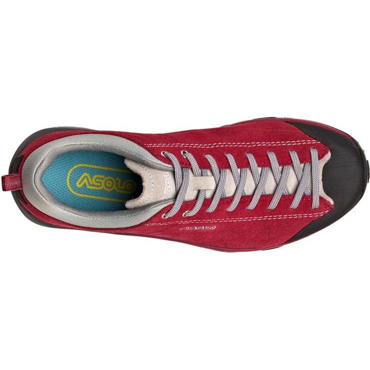 ASOLO Space GV ML, gerbera