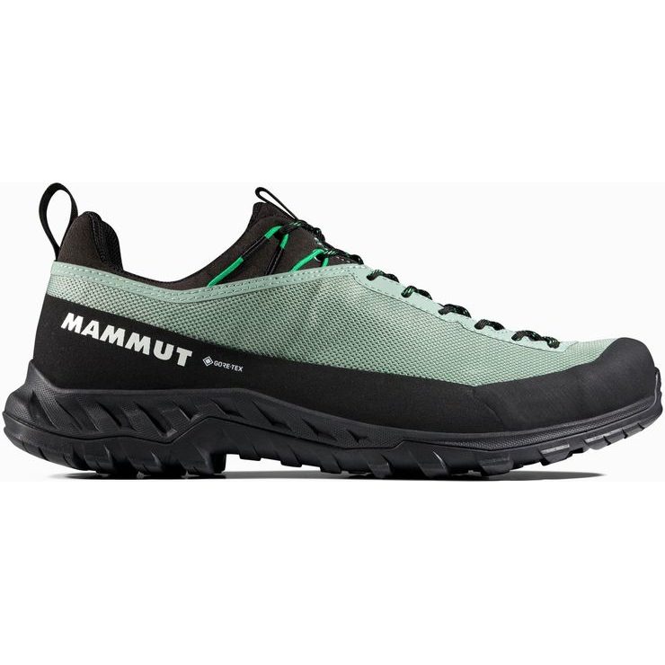 MAMMUT Alnasca IV LowTX Men deep silver sage-pinea