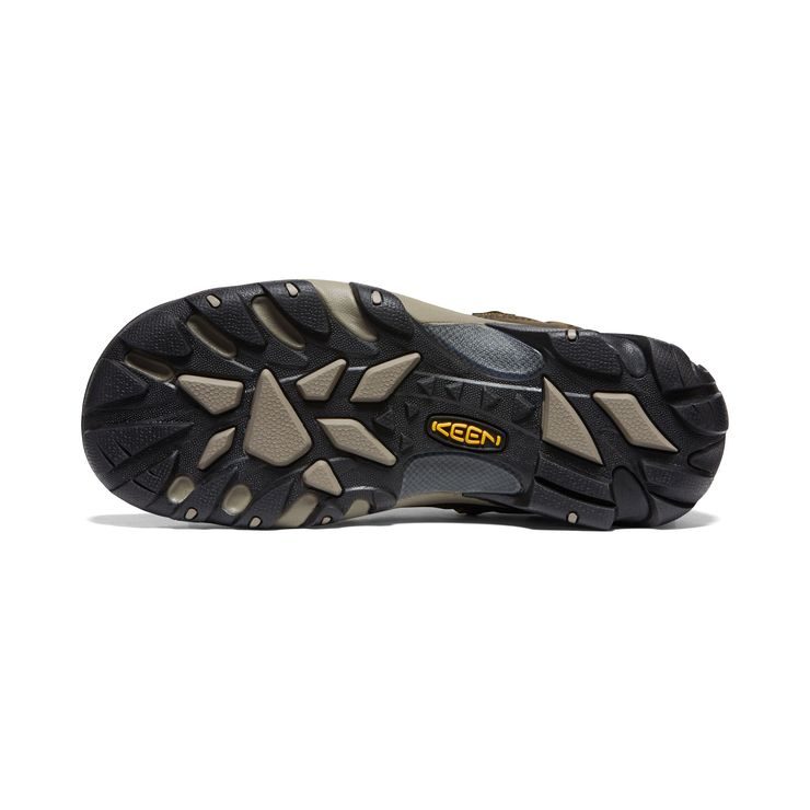 KEEN ARROYO II MEN canteen/black