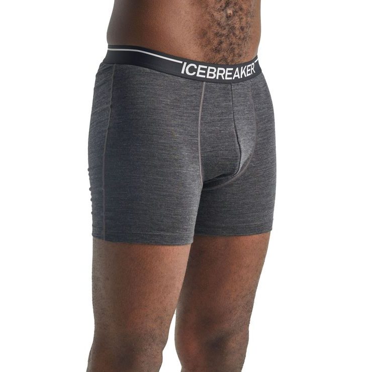 ICEBREAKER M Anatomica Boxers, JET HTHR
