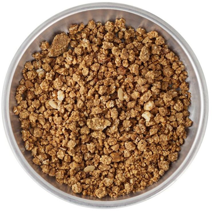 LYOFOOD Ovesný Payasam