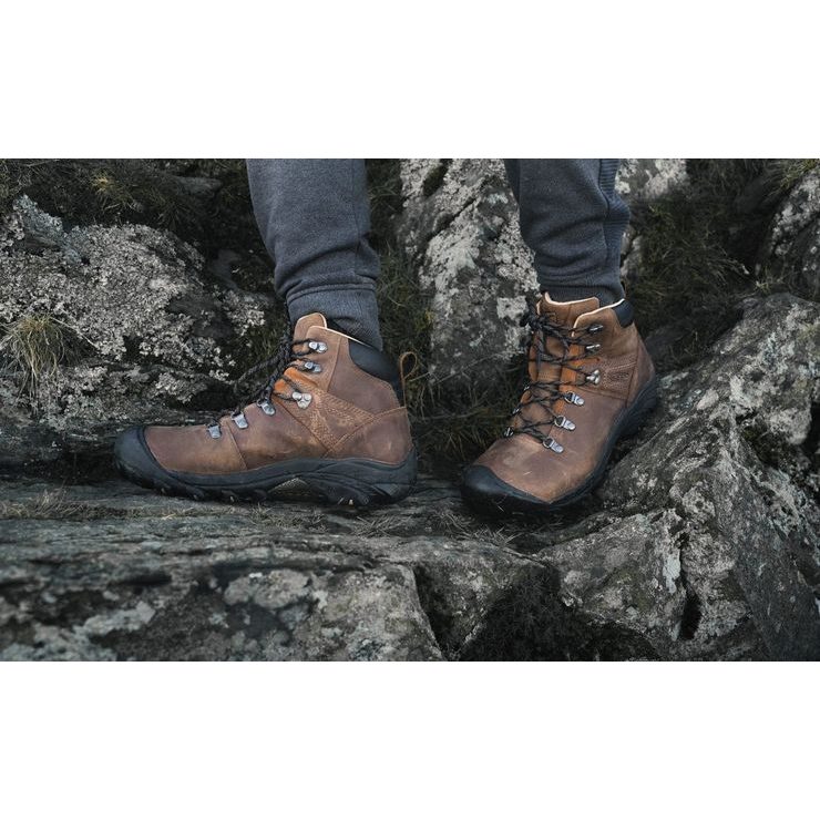 KEEN PYRENEES M syrup