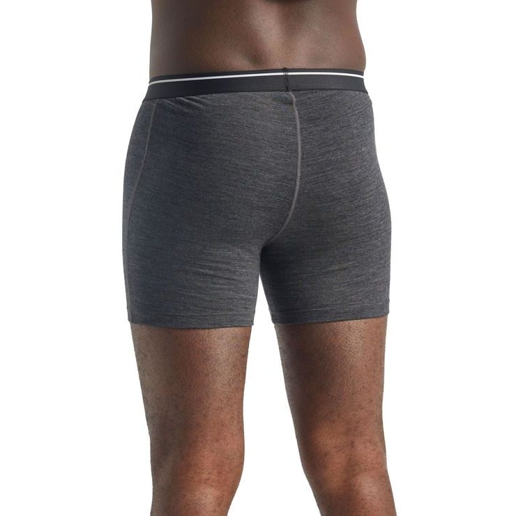 ICEBREAKER M Anatomica Boxers, JET HTHR