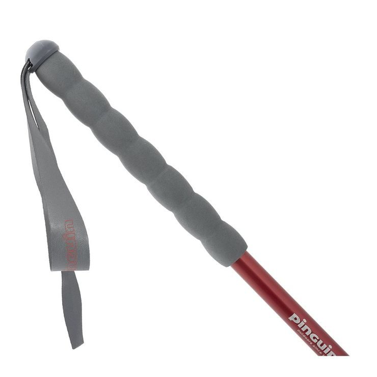 PINGUIN Fastrail TL Foam Red